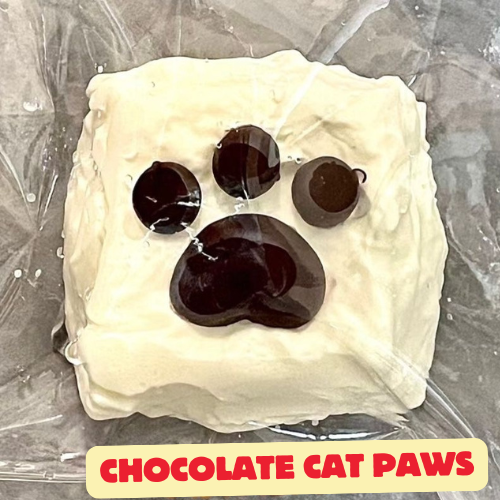 Handmade Silicone Burst Chocolate Square Cat Paw Squishy Toy Food-Grade Cement Texture